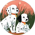 Мирослава Ц. Avatar