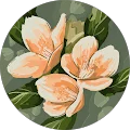 Eve H. Avatar